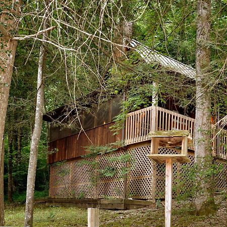 Villa Parkside Party #1676 à Gatlinburg Extérieur photo